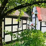 Lateinschule Apartmán *