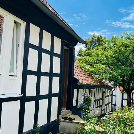 דירה Lateinschule טקלנבורג