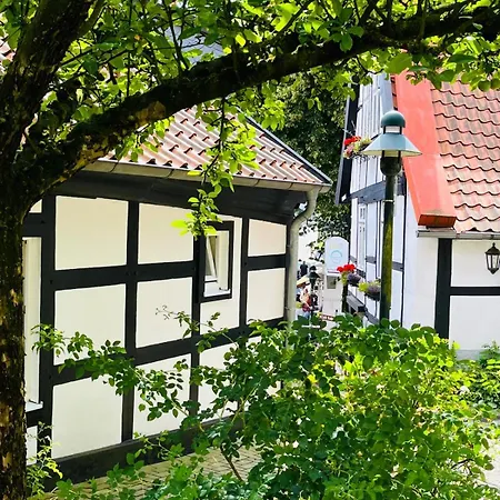 Lateinschule Appartement *