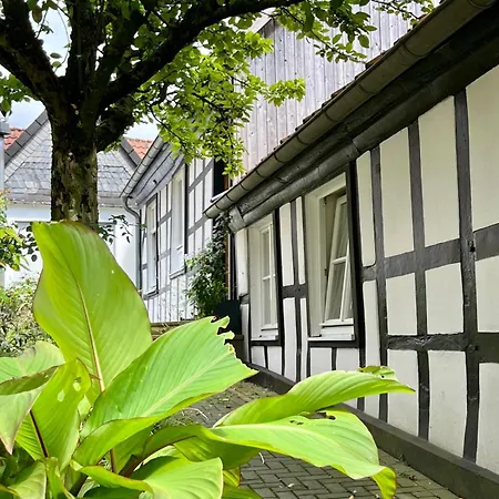 Lateinschule Appartement Tecklenburg