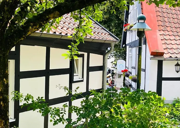 Lateinschule Lejlighed *