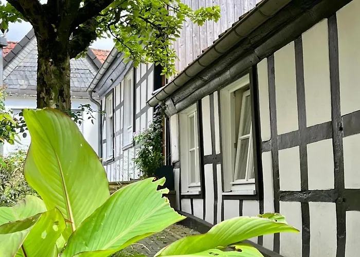 Lateinschule Lejlighed Tecklenburg