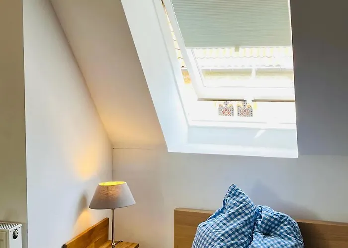 Lateinschule Lejlighed